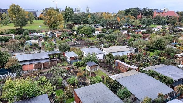 Ansicht auf Gartenanlage